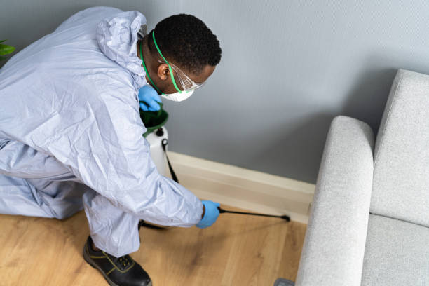 Best Residential Pest Control  in Pacific City, OR